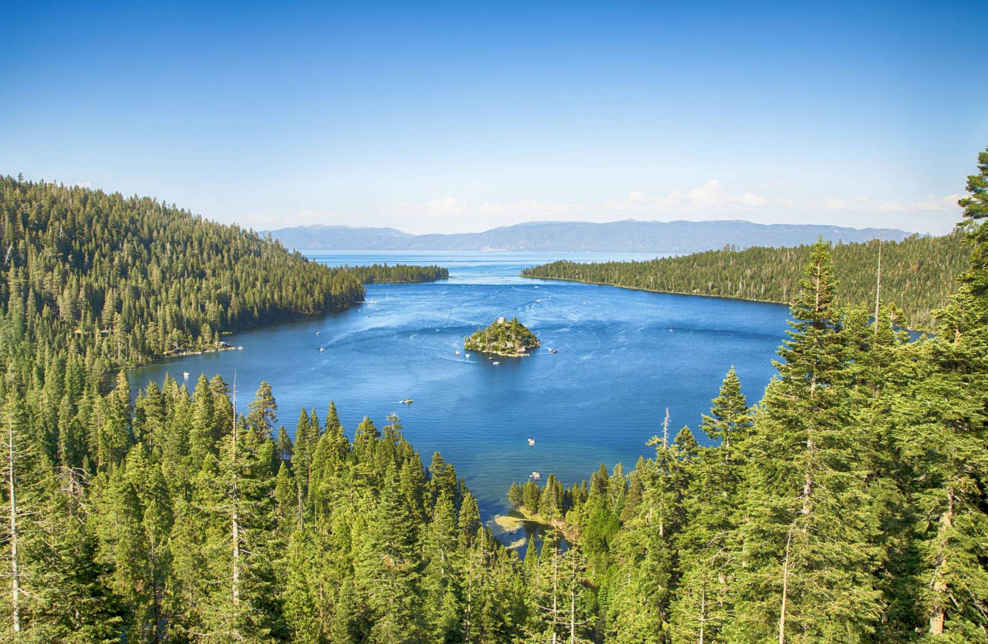 A gorgeous blue lake surrounded by green pine trees. A small green island sits in the center of the water.
