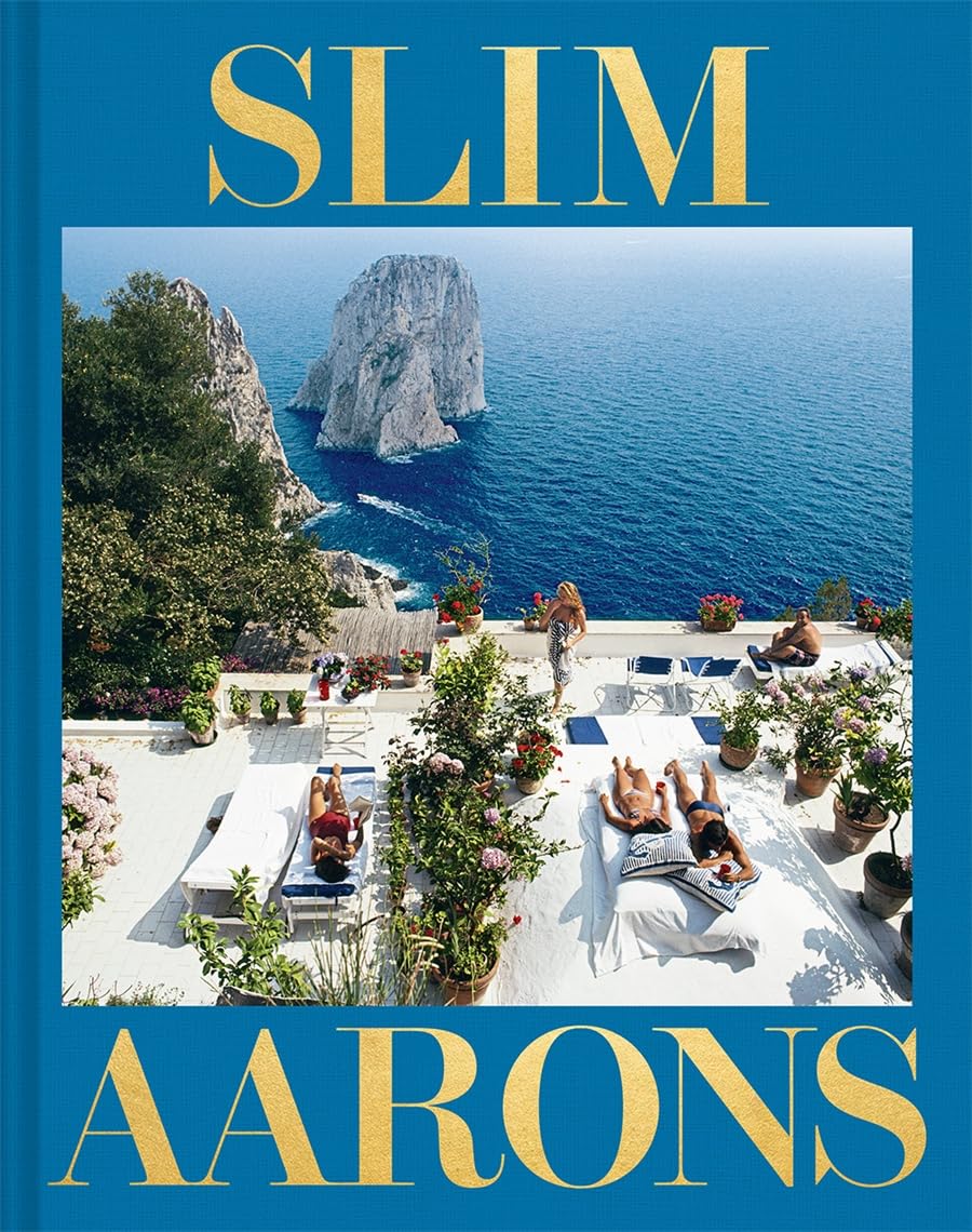 A book cover featuring people sunbathing on a stark white roof in front of an expanse of blue ocean and trees on the shoreline.