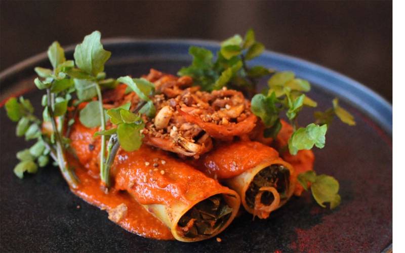 Canneloni pasta tubes covered in a bright orange sauce and garnished with fresh herbs.