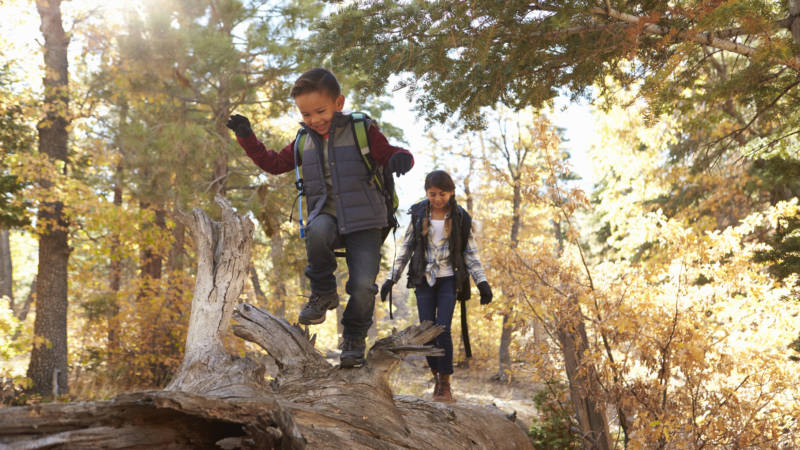 Four STEM Tools to Get Kids Learning and Exploring Outdoors | KQED