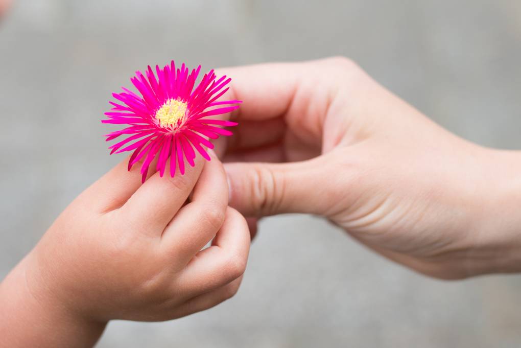 Why kindness and emotional literacy matter in raising kids - MindShift