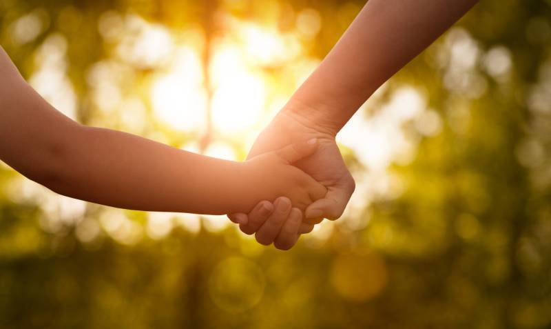 adult hand holding child hand with sunlight shining through trees in the background