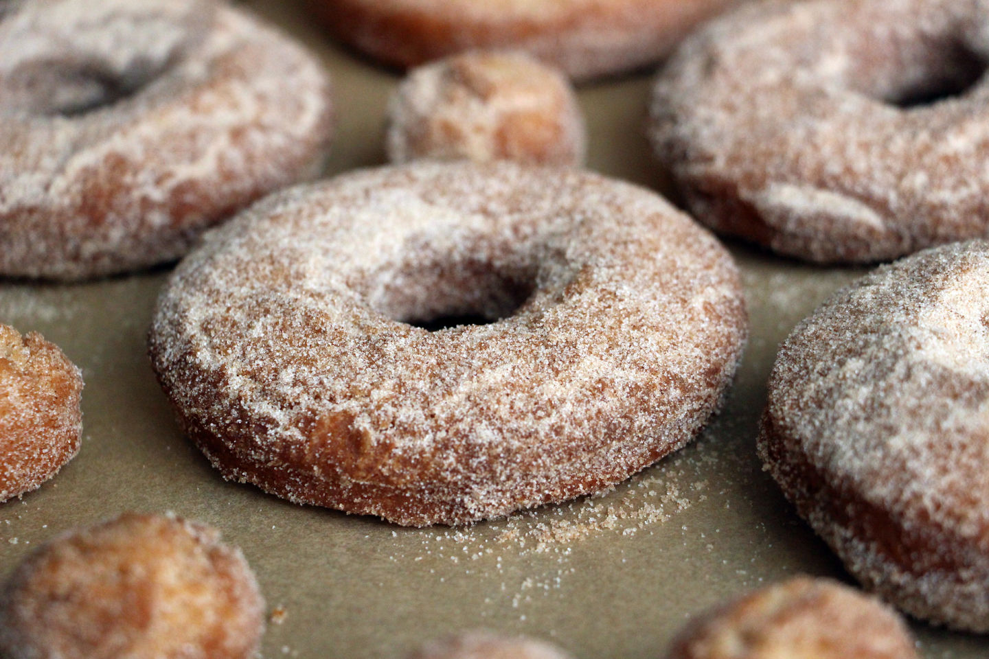 Old-Fashioned Cinnamon-Sugar Cake Donuts Wendy Goodfriend