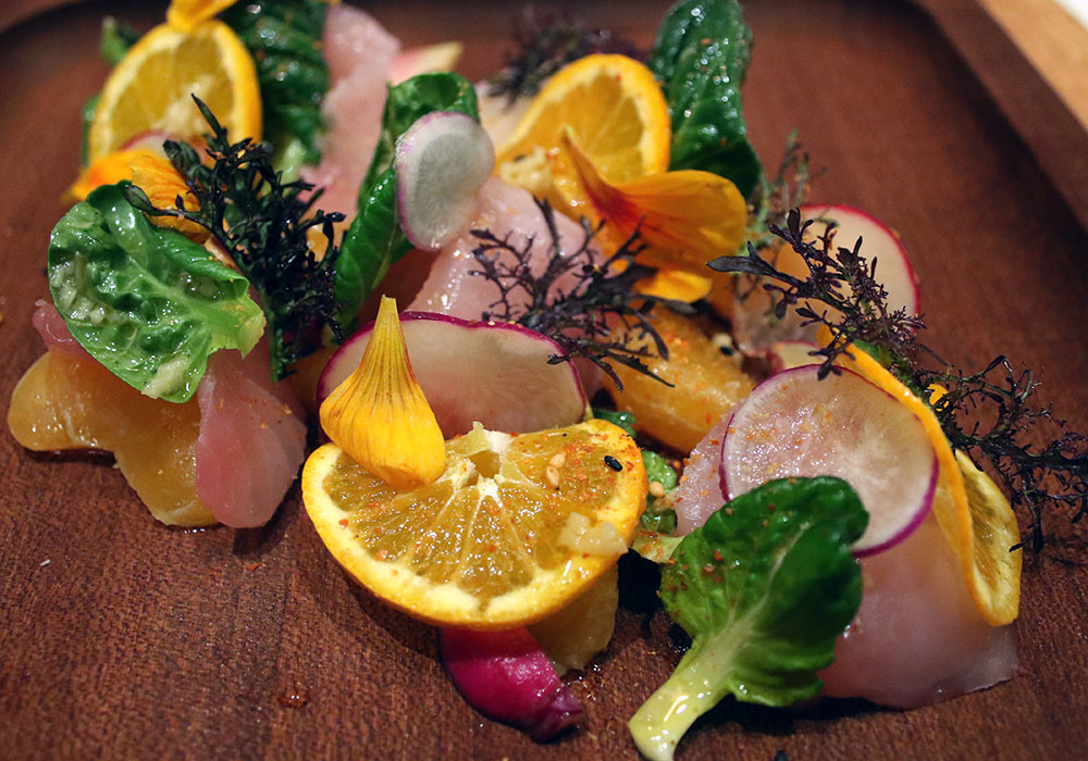 Pacific Yellowtail with tai soi, ginger, citrus, togarishi, $18 at SHED Cafe in Healdsburg. Heather Irwin