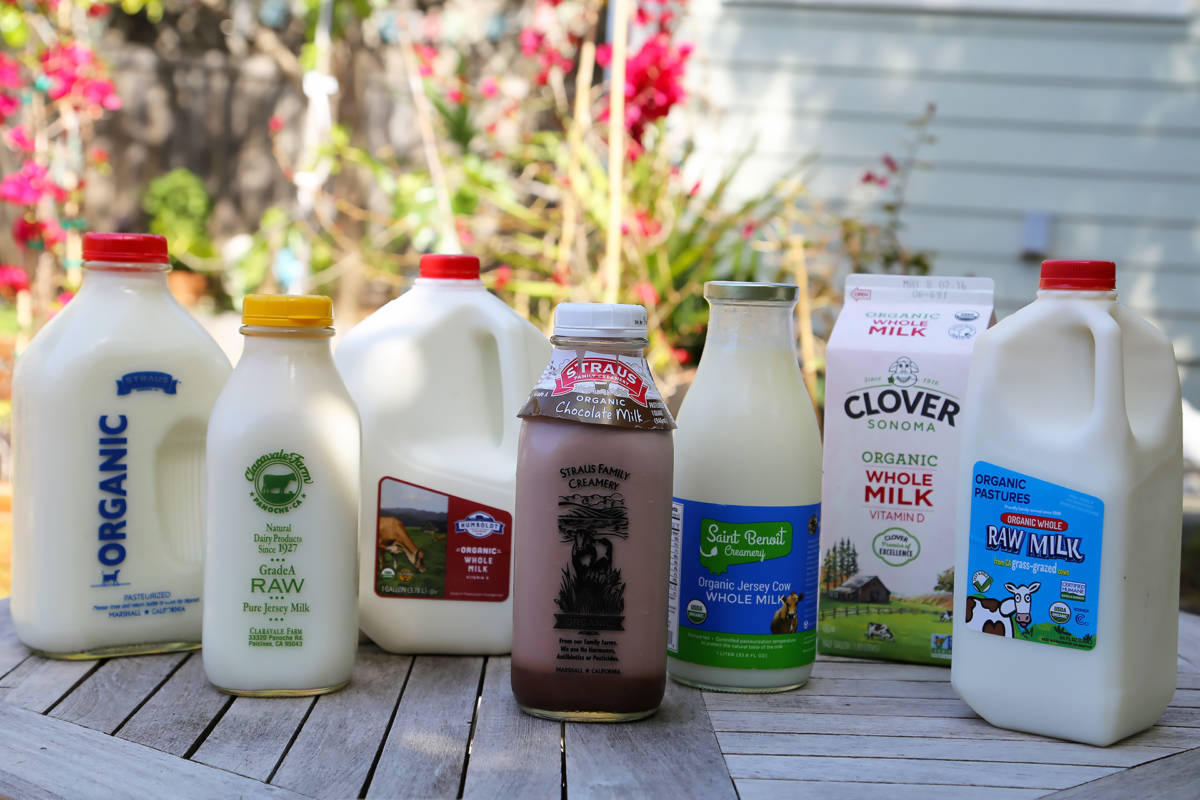 Taste Test: Local, Sustainable Whole Milk From 6 Top California Dairies |  KQED