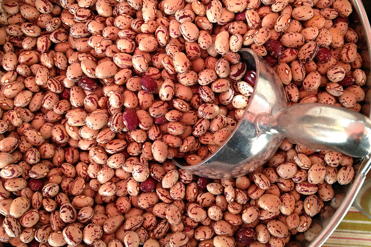 A large bowl of dried cranberry beans