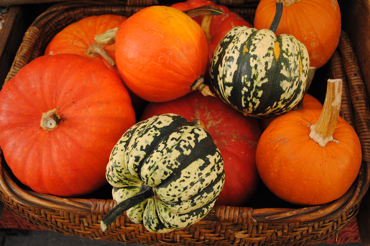 Squash from Lonely Mountain Farms