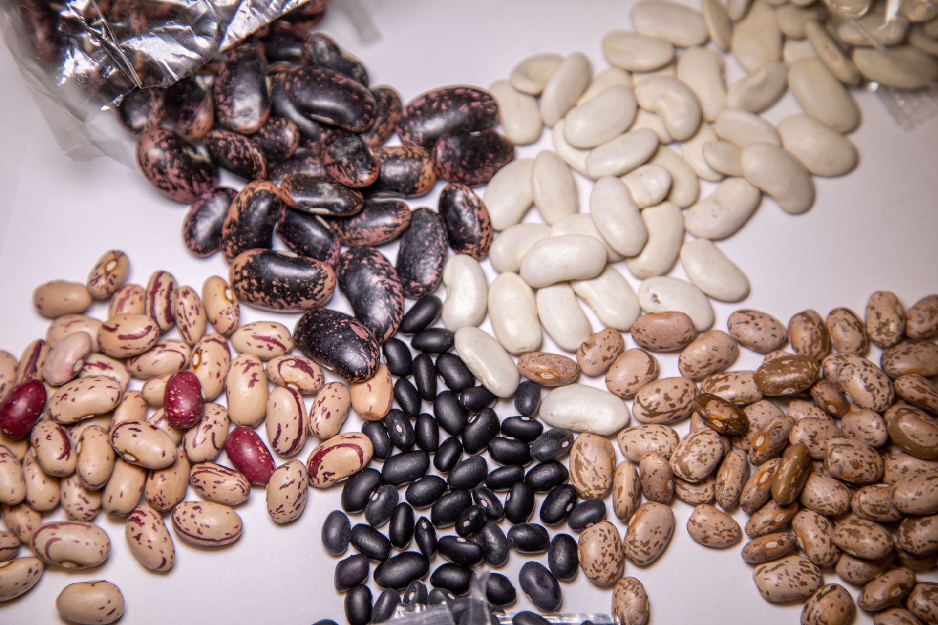 A few varieties of beans from Rancho Gordo's heirloom farm including pinto, cranberry and scarlet runners. 