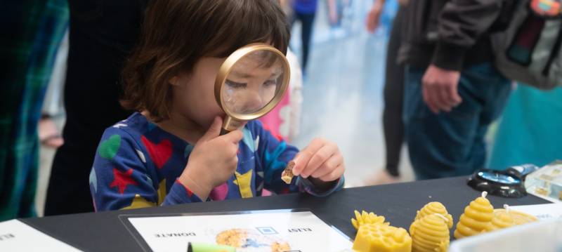 A little girl looks at a piece of beeswax through a magnifying glass, at KQED's 2023 Festival.