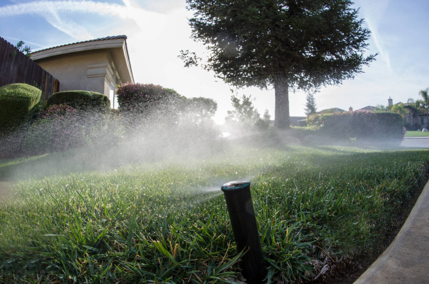 Sprinklers on a Bakersfield lawn. The city saved 17.7 percent in February compared to February 2013. John Chacon/California Department of Water Resources