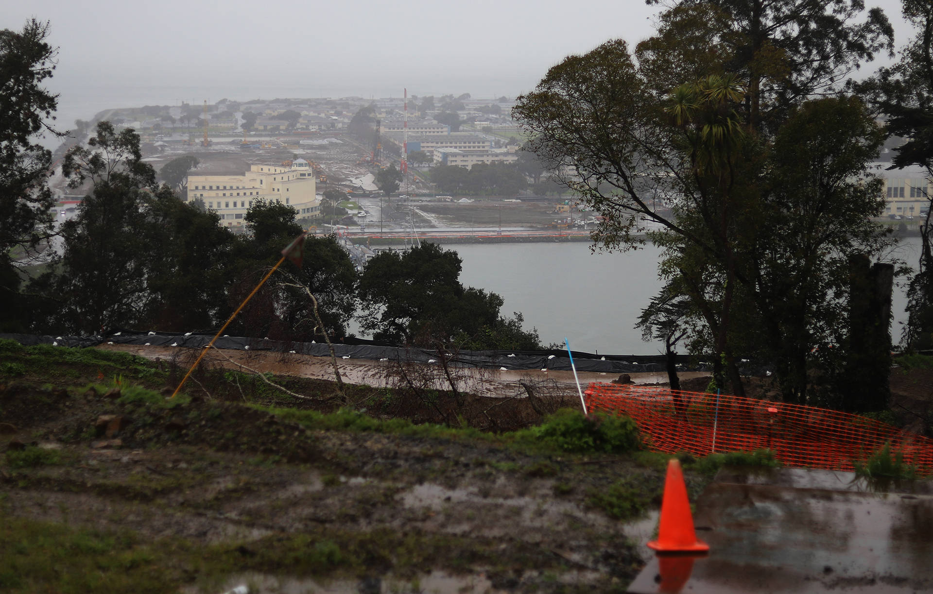 View of Treasure Island. The toxic compounds PFOS and PFOA, a type of PFAS, are present on the island at levels far beyond EPA guidelines. Lindsey Moore/KQED
