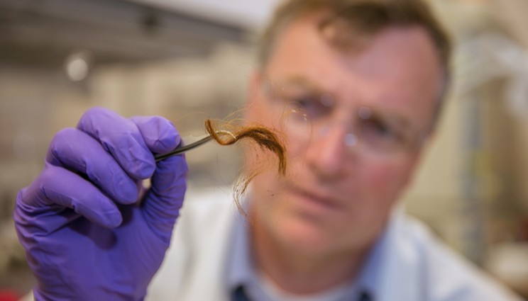New Forensic Tool Uses Single Hair to Identify Perpetrators | KQED