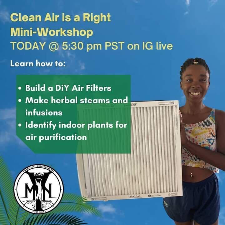 An image publicizing Mycelium Youth Network's free online tutorial in how to make your own air purifier.