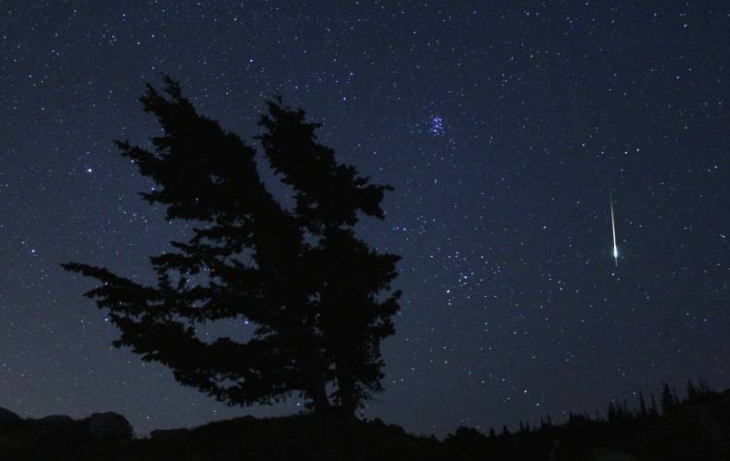 The dark silhouette of a rough-edged tree leans to the left of the image, against an indigo sky whitened with star clusters. A thick streak of light from a meteor drops down on the right side of the image.