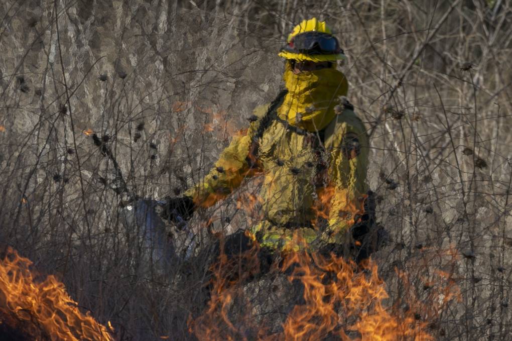Heat distorts the appearance of a firefighter setting a backfire to protect homes and to try to contain the Blue Ridge Fire on Oct. 27, 2020, in Chino Hills, Calif.   David McNew/Getty Images