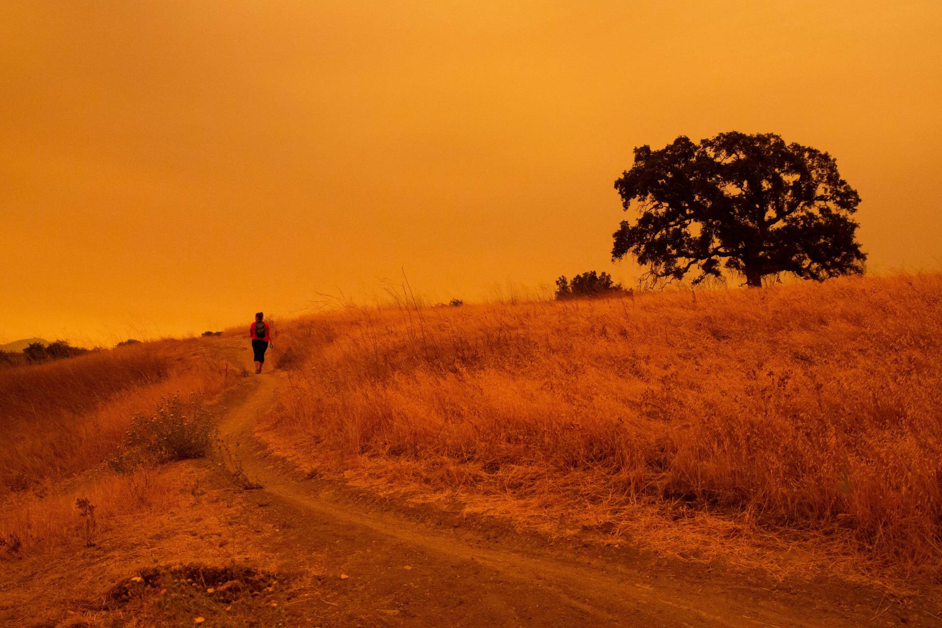 A hiker walks below an orange sky filled with wildfire smoke on the Limeridge Open Space hiking trails in Concord, California on September 9, 2020. Dangerous dry winds whipped up California's record-breaking wildfires and ignited new blazes, as hundreds were evacuated by helicopter. Brittany Hosea-Small/AFP/Getty Images