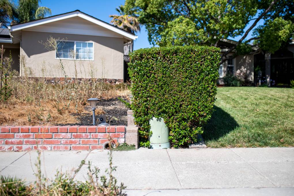 A yard on the left has let their grass go dry, while a house next door has green grass in the Cambrian neighborhood located in West San Jose on July 21, 2021. Water restrictions are in place in San Jose which restrict the length of watering and limits the timing. Beth LaBerge/KQED