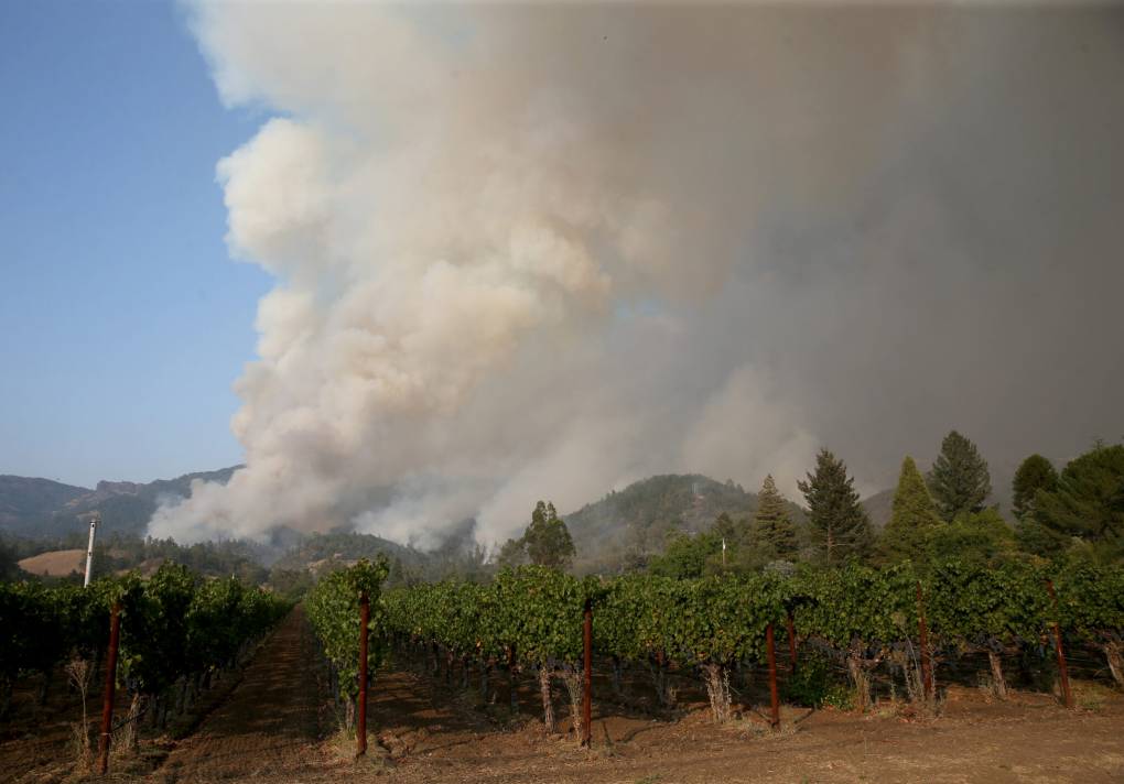 Smoke from the Glass Fire rises above the Jericho Canyon Vineyard and Winery about a mile out of downtown Calistoga, California.