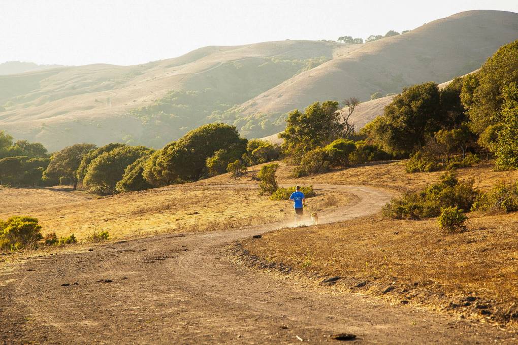 A brown hilly landscape, dotted with a few trees, and a jogger in a blue top in the distant center.