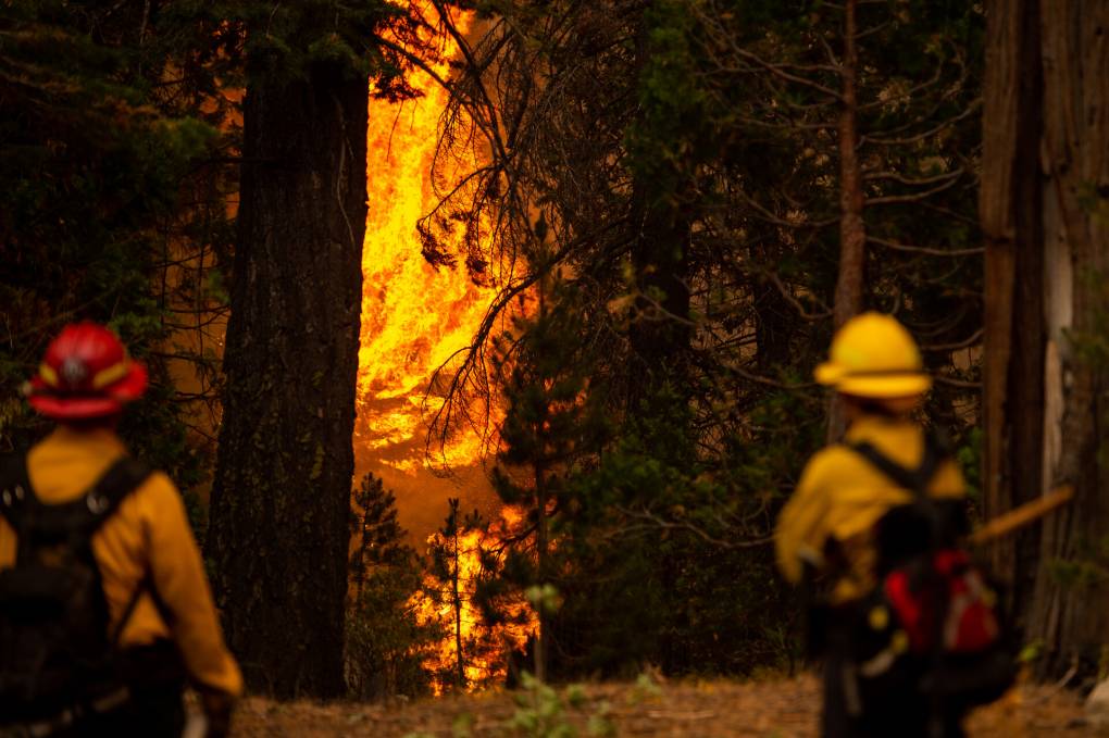 A Storey County Fire District crew battles the Caldor Fire.