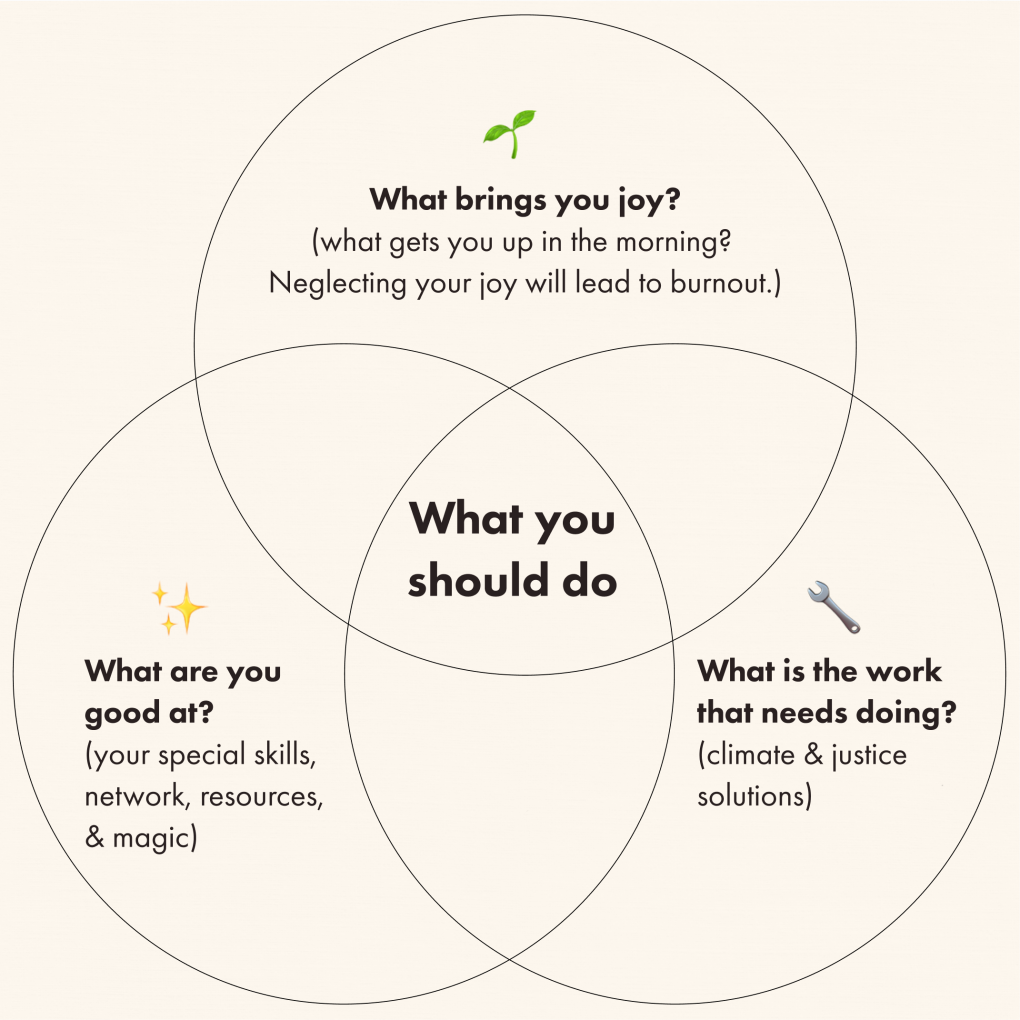 A Venn diagram with three circles: one says "what brings you joy?", another says "What are you good at?" and the third says "What is the work that needs doing?" The convergence of the circles reads "What you should do."