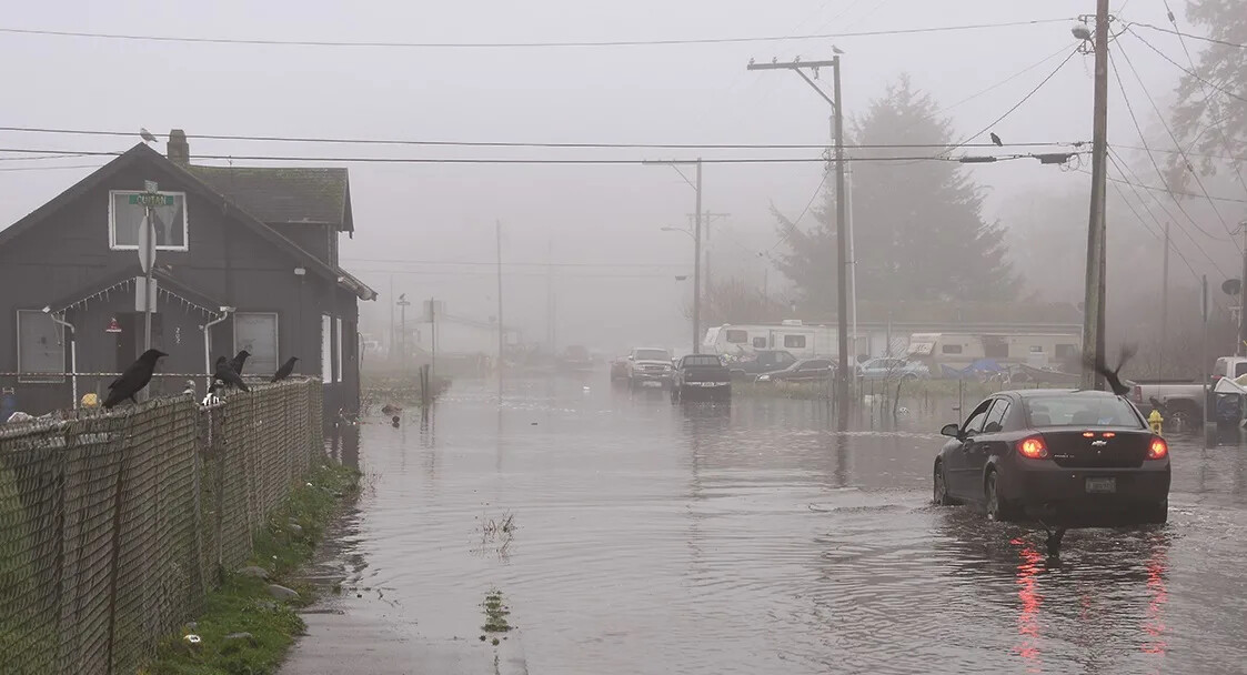A dark colored car with red running lights drives down a flooded street, overcast with gray fog. 