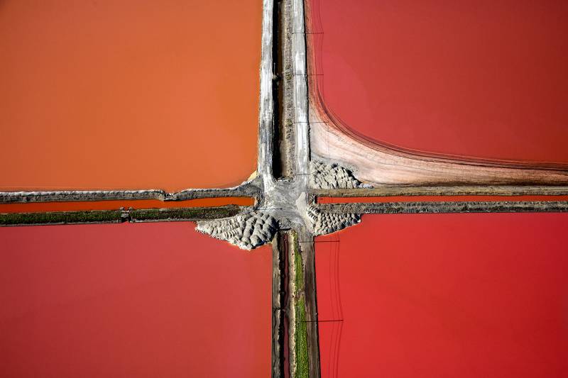 Levees neatly separate the photo into four squares of red and rose. One is the red of a stop sign, another is a desert rose, a third is a pale orange, and a fourth is a dark rose. 