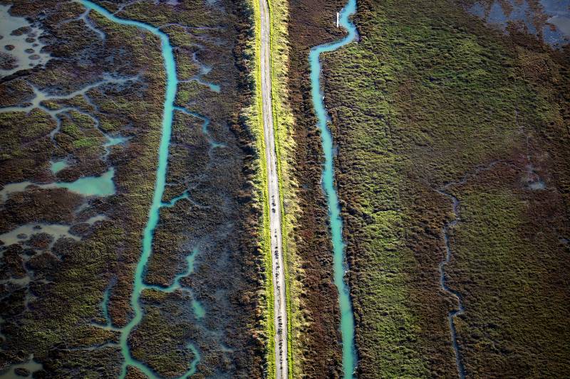 Two turquoise creeks run from the bottom of the image to the top. On the left, the creek shows branching tributaries. The creeks run parallel to a levee in the center of the photo, through a lush landscape of green and brown restored wetlands.