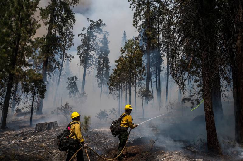 TOPSHOT - Firefighters put out hot spots from the Washburn Fire in Yosemite National Park, California, July 11, 2022. - Hundreds of firefighters scrambled Monday to prevent a wildfire engulfing an area of rare giant sequoia trees in California's Yosemite National Park. The Washburn fire, in the Mariposa Grove of giant sequoias, was first reported on July 7 and doubled in size over the weekend to 2,340 acres (946 hectares), according to a park report. Yosemite's fire management service said 545 firefighters were battling the blaze, including "proactively protecting" the grove -- the largest sequoia grove in Yosemite, with over 500 mature trees.