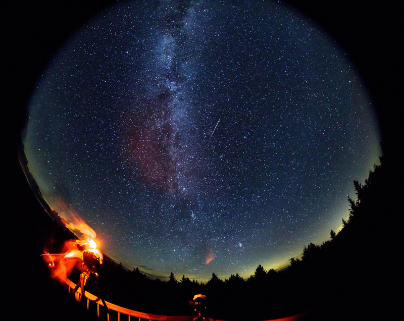 The image shows a view of the night sky as a circle bounded by trees below and the curve of a lens above. The Milky Way runs bright in white, blue and purple through the center of the image. The streak of a meteor shoots from the center of the image up toward the right.