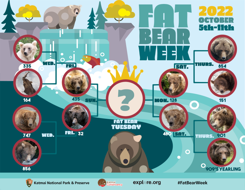 Your guide to Fat Bear Week, an election where voters actually like every candidate (National Park Service)