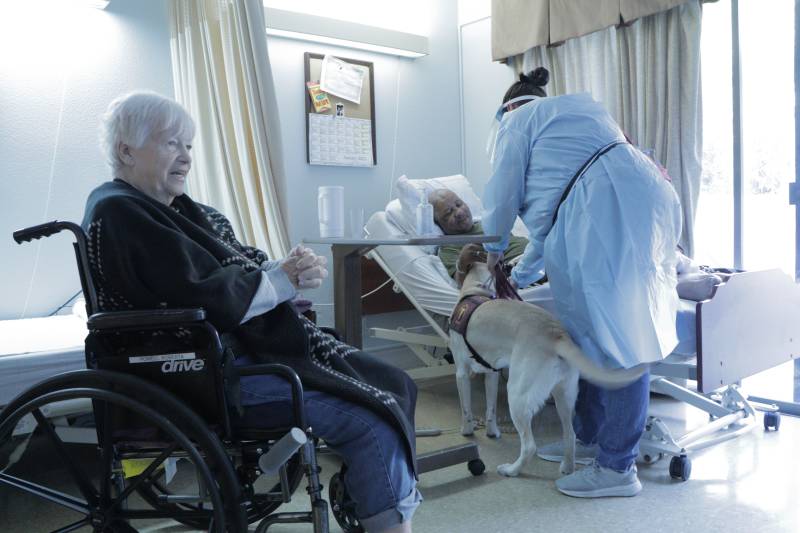 An elderly person wearing a black top and blue jeans sits in a wheelchair while a person dressed in a hospital uniform stands over a person in bed with a dog beside them.
