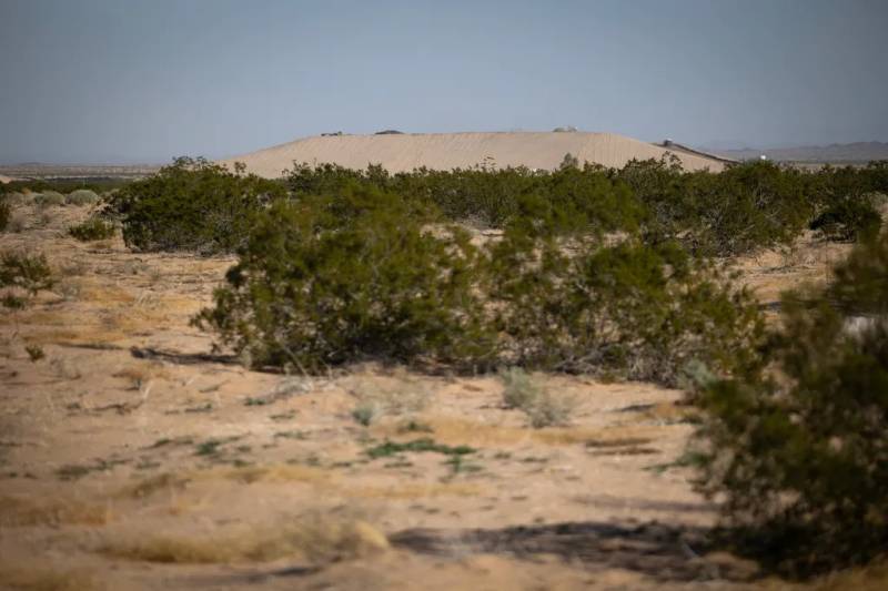 A landscape of beige, sandy soil and green scrub across it, with a rise the same color as the sand in the distance.