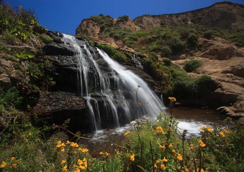 A waterfall over rocky cliffs into a pool, view with bright orange flowers in the foreground and a reddish cliff with green chapparral beyond it.