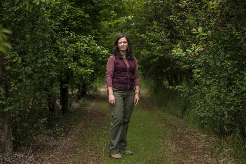 A Caucasian woman of about 40 with long dark brown hair, olive trousers, boots, a mauve long-sleeved top and a purple vest sits in a grassy shade between two rows of lush trees. standing on the alley