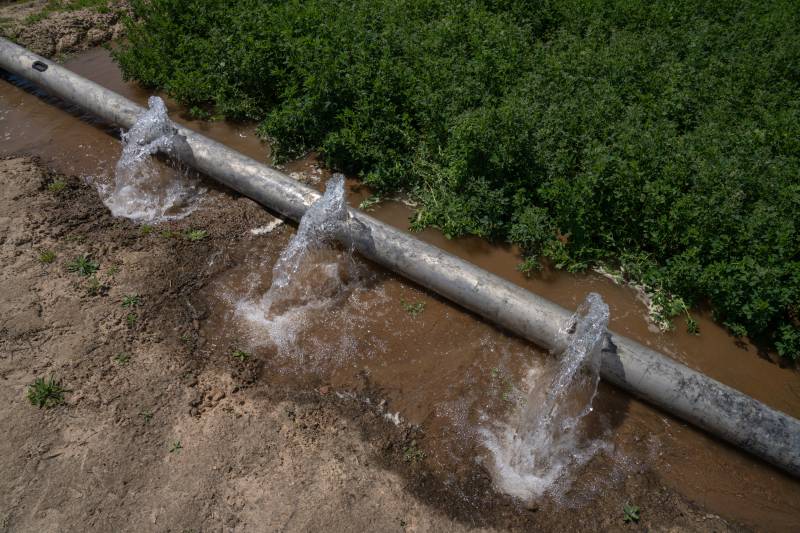 Water is seen flowing out of pipes at a farm. 