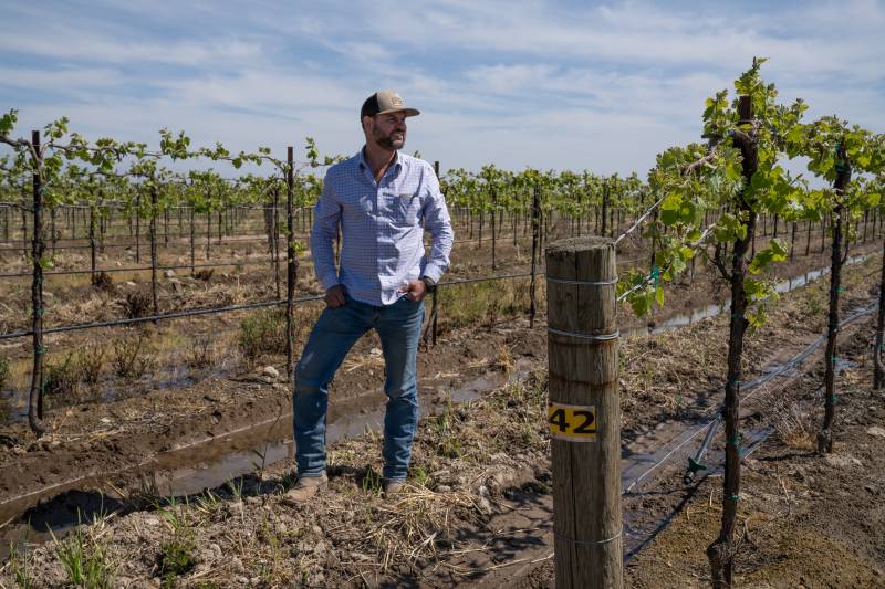 A white man with a beard, wearing a baseball cap, a long-sleeved button-up powder blue shirt, blue jeans, and boots stands in a vineyard with his hands in his pockets, looking off to the side.