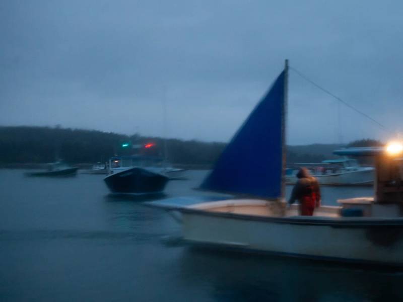 A boat with a blue sail is seen on the waters during the early hours of the morning.