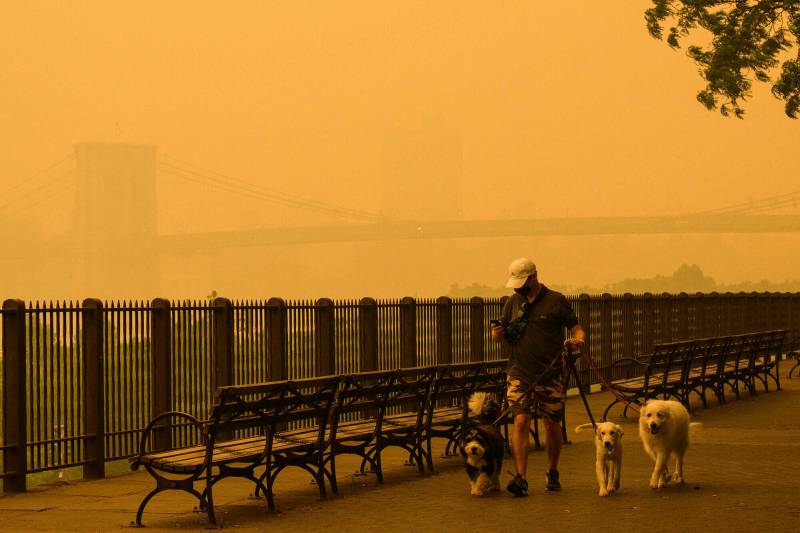 A person walks dogs as smoke from wildfires in Canada cause hazy conditions in New York City on June 7, 2023. An orange-tinged smog caused by Canada's wildfires shrouded New York on Wednesday, obscuring its famous skyscrapers and causing residents to don face masks, as cities along the US East Coast issued air quality alerts.