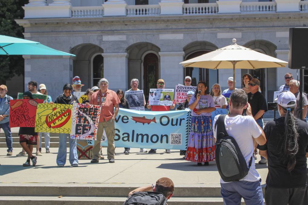 A group of protestors in colorful clothing stand with banners and signs in front of a white, ornate building. 