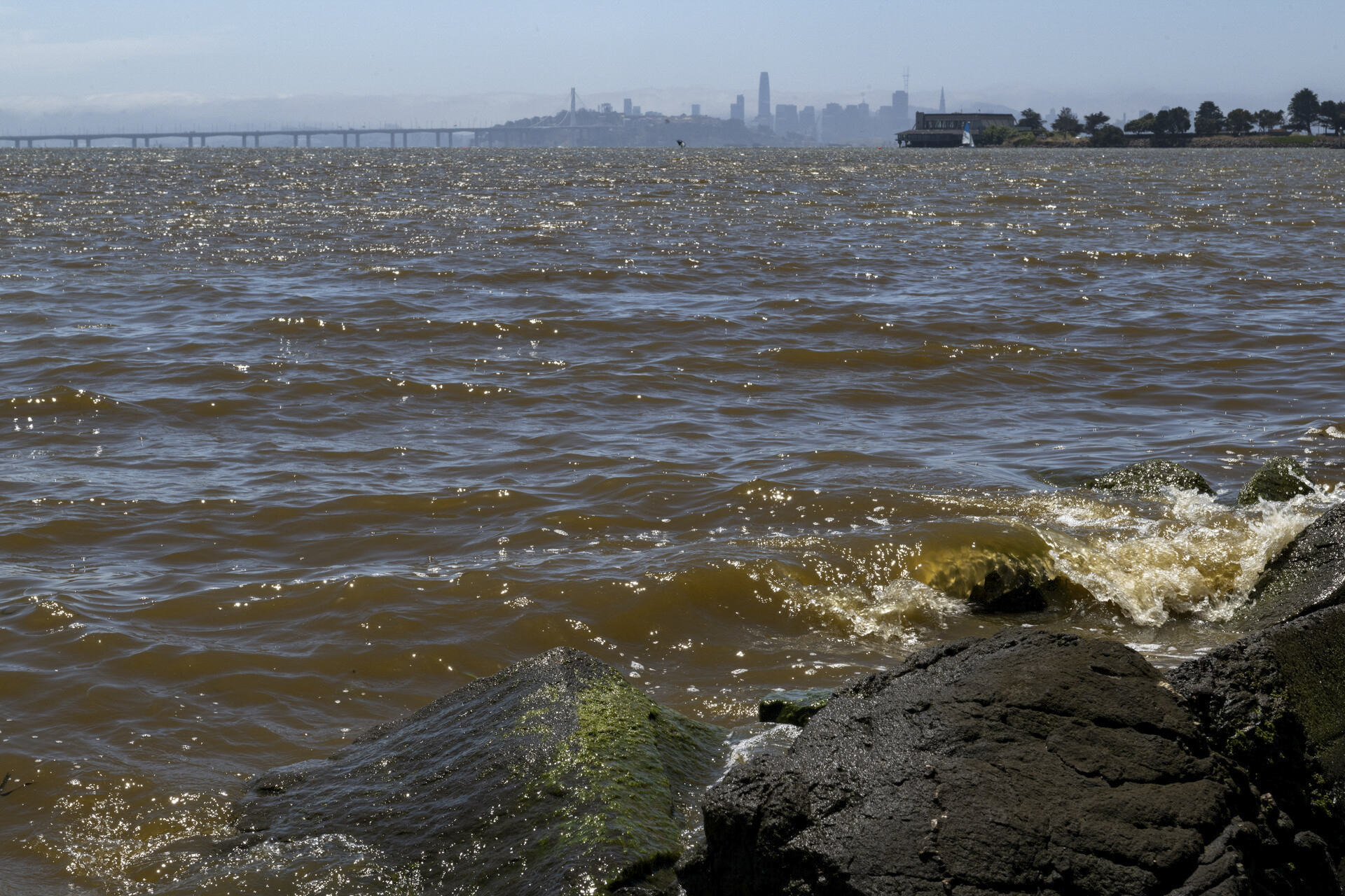 Dark reddish-orange looking water splashes agains rocks in the foreground with the San Francisco skyline in the distance.