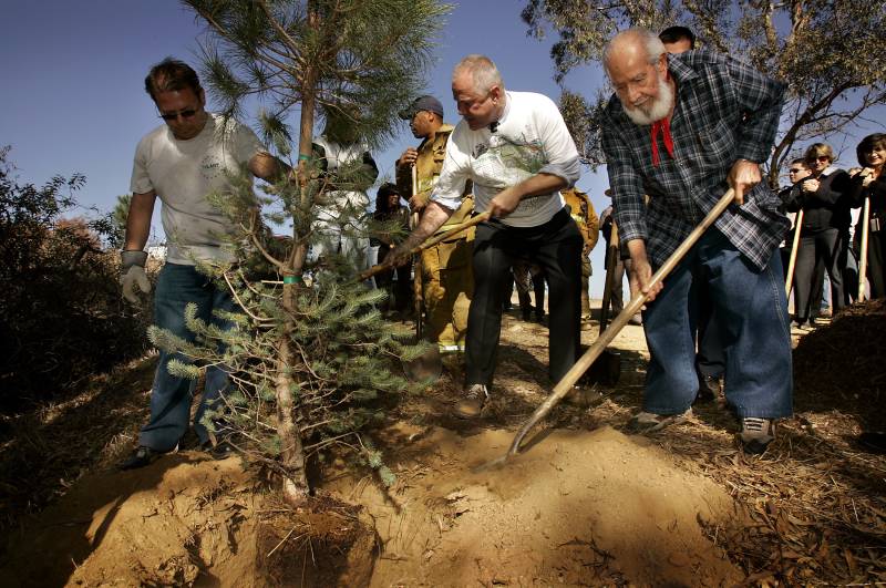A group of people plant a pine tree. 