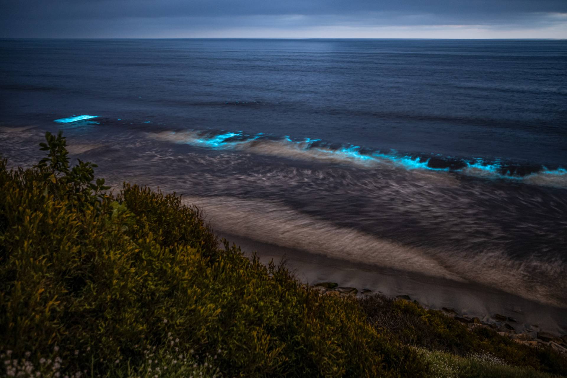 A view of the waves on a shoreline glows bright blue.