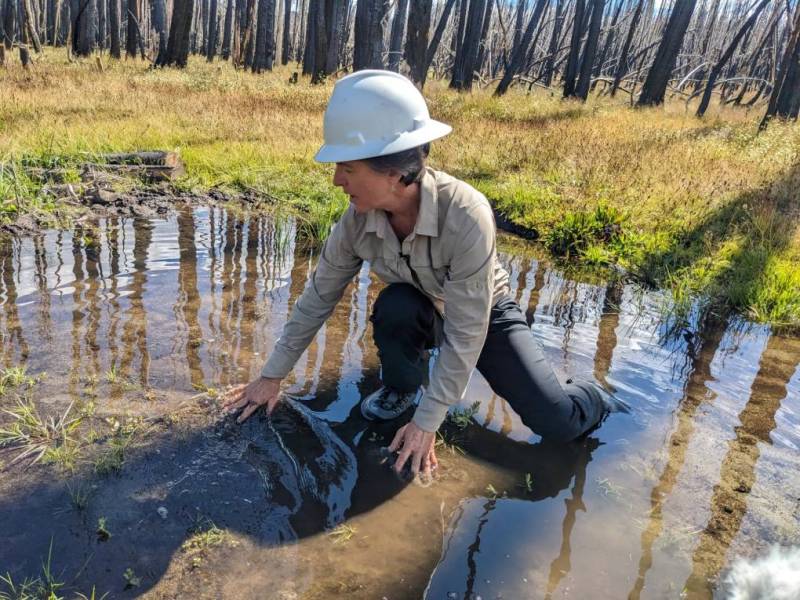 a woman in jeans, a long sleeve shirt, and a hard hat, kneels in a puddle with trees in the background