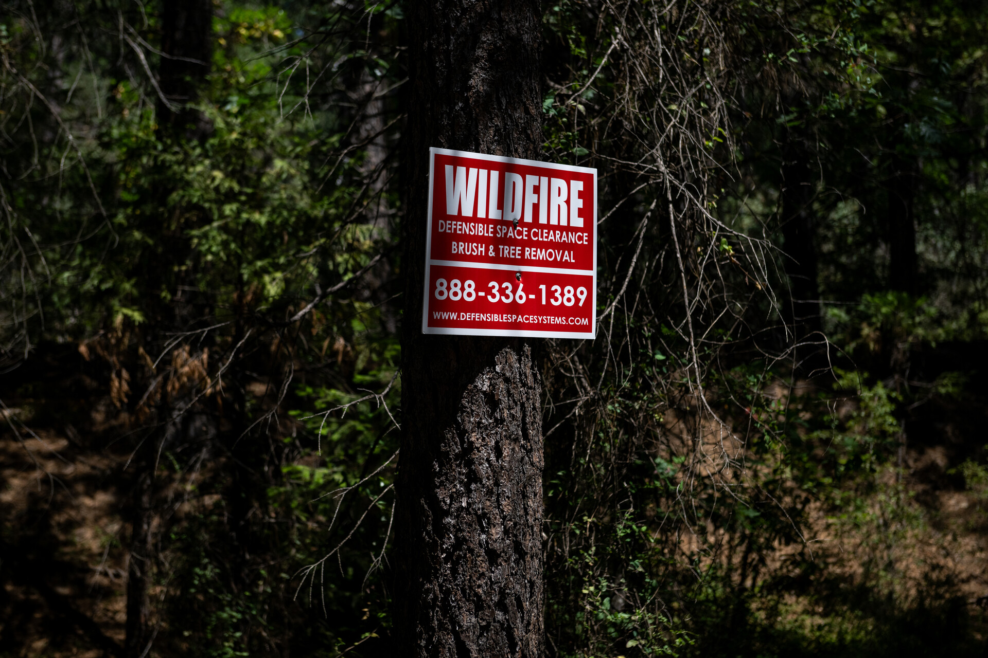 A red sign with white lettering is nailed to a tree.