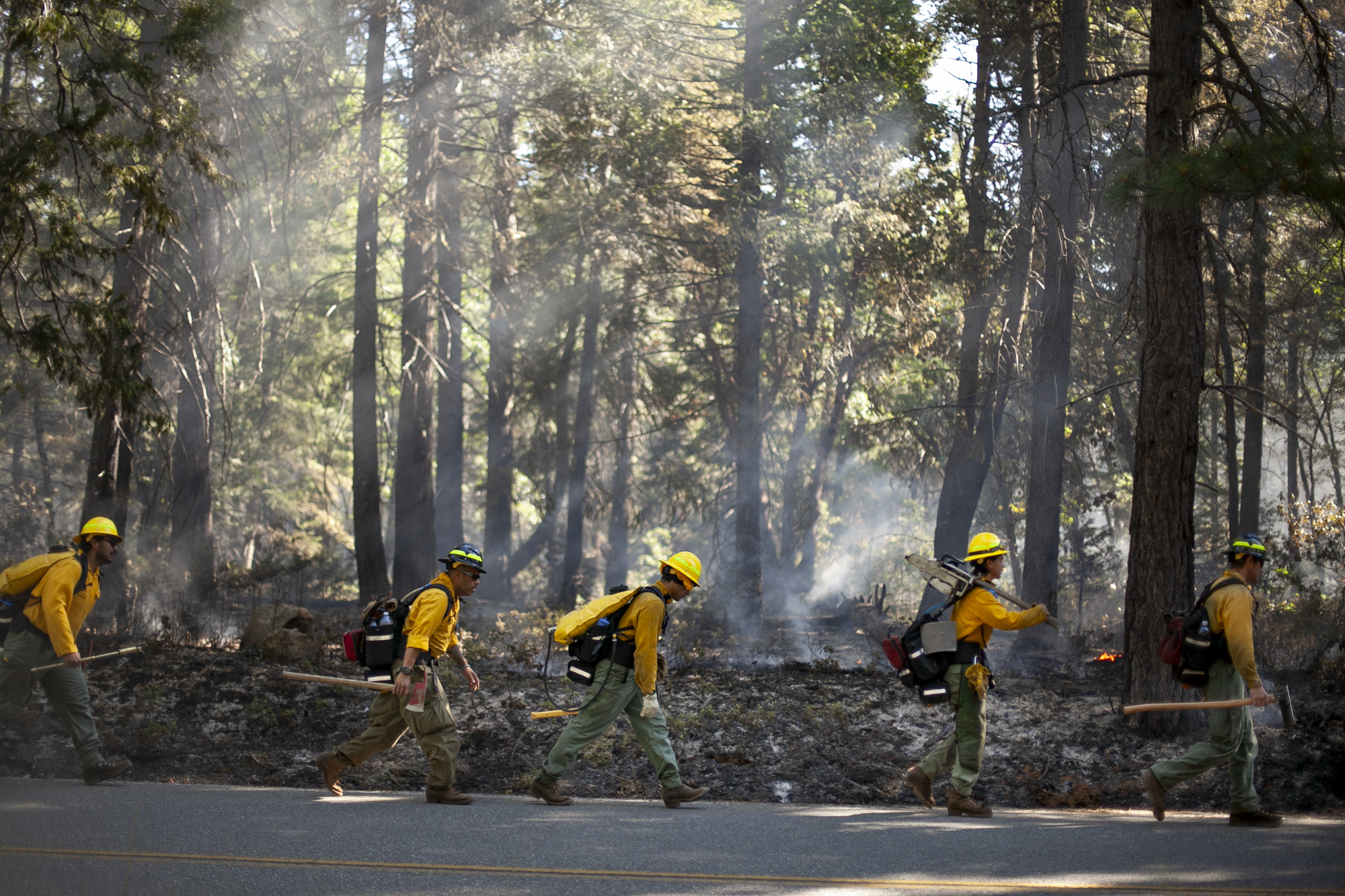 A group of people wearing hard hats walk along a roadway beside a stretch of burnt forest.