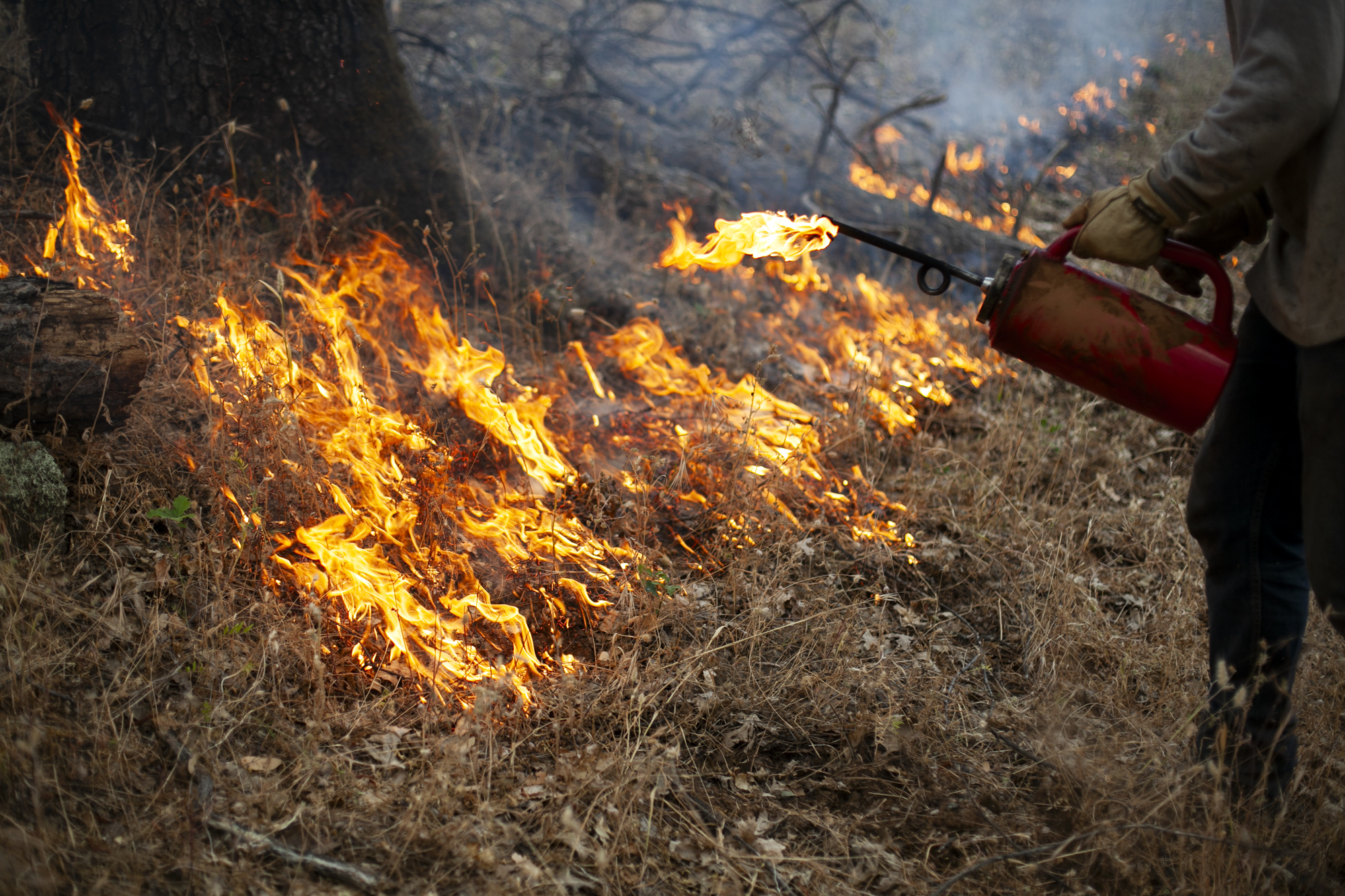 A person holds a device to dried grass to start a fire.
