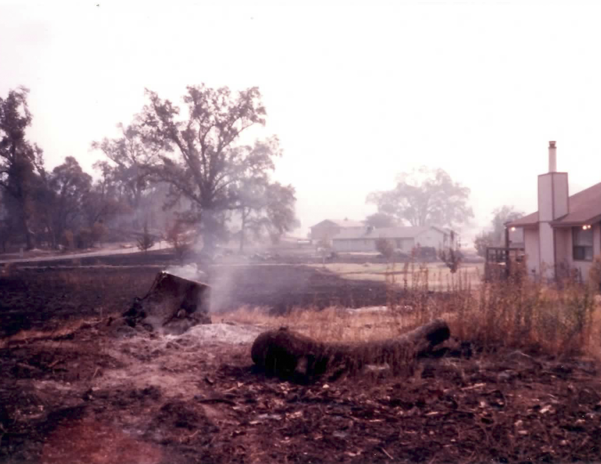 Several houses beside fire-scorched terrain.