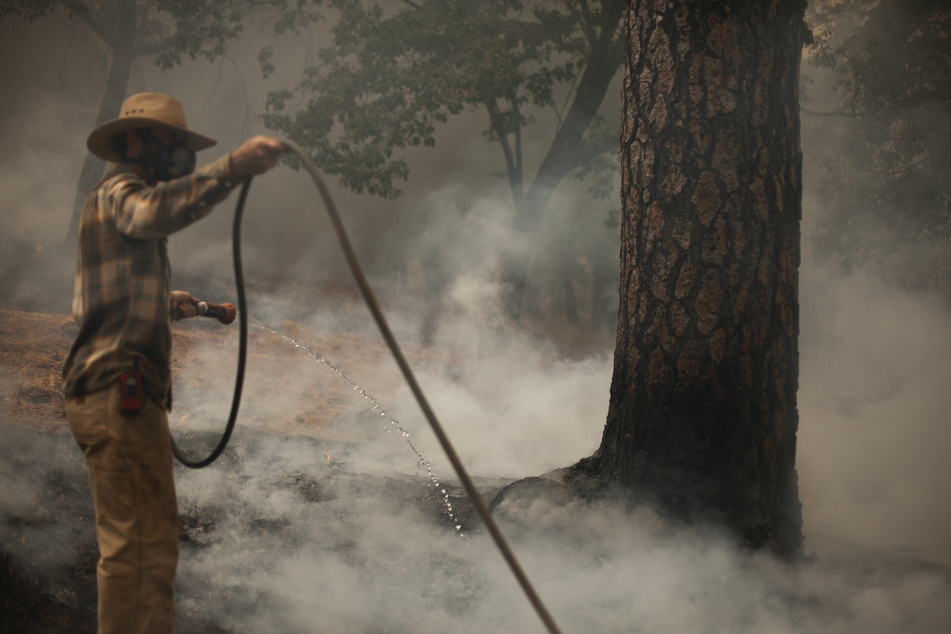 A man holds a water hose near a smoked filled forest area.