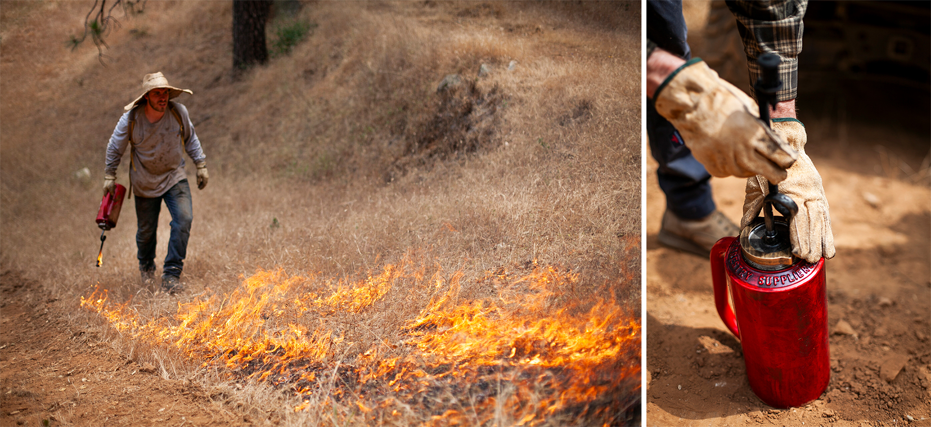 Left: A man walks through dry yellow grasses while using a torch to light the grass on fire.